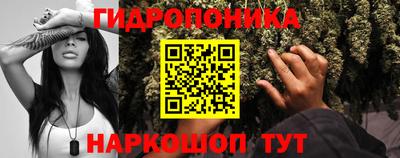 a pvp Волжск