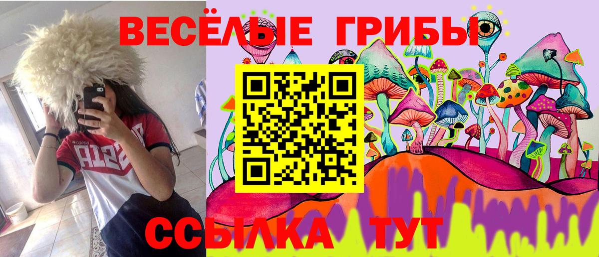 Галлюциногенные грибы мухоморы  Вход с VPN  Урюпинск  Галлюциногенные грибы мицелий 